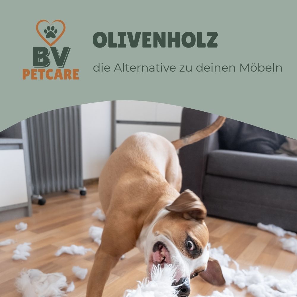 3er Set - Kaustab aus Olivenholz