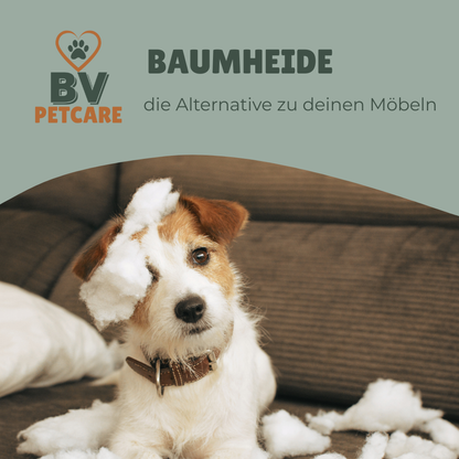 3er Set - Kauwurzel aus Baumheide