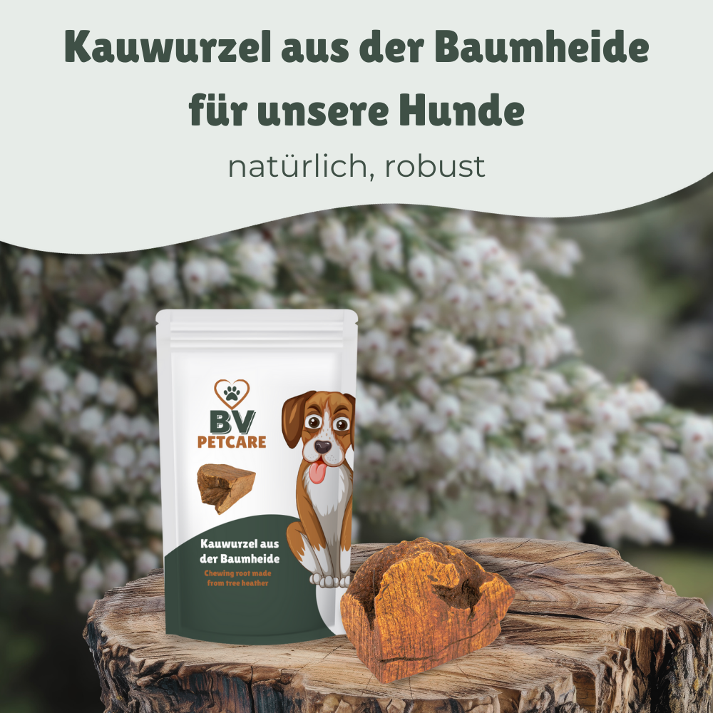 Kauwurzel aus Baumheide