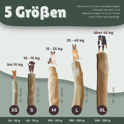3er Set - Kaustab aus Kaffeeholz