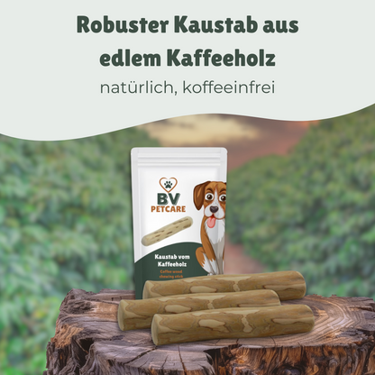 Kauholz-Mix Box