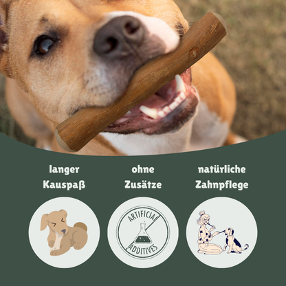 Kaustab aus Kaffeeholz