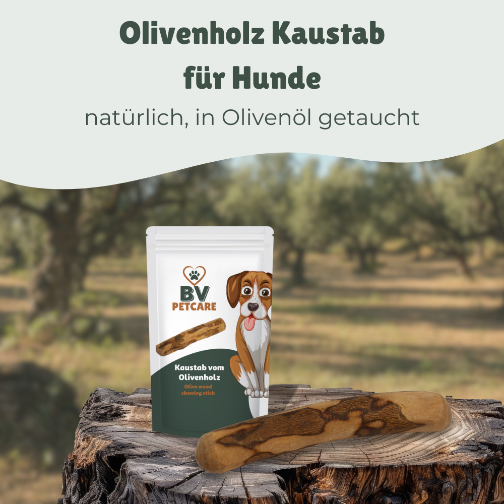 3er Set - Kaustab aus Olivenholz