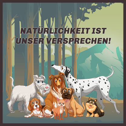 Kaustab aus Hartkäse